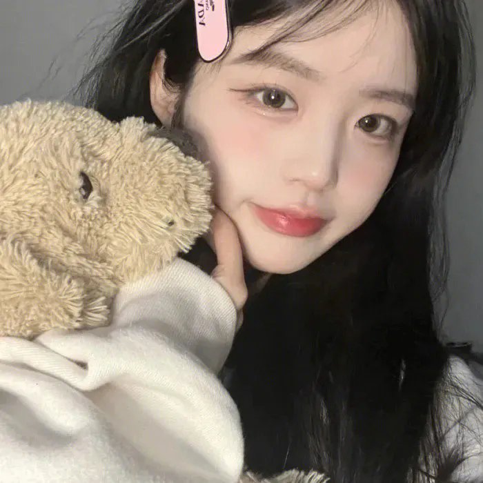 元首的面孔